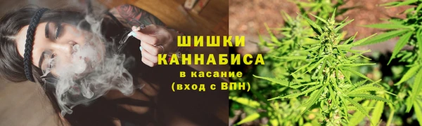 прущие грибы Абаза