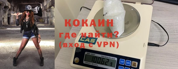 прущие грибы Абаза