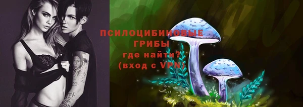соль ск Алексеевка