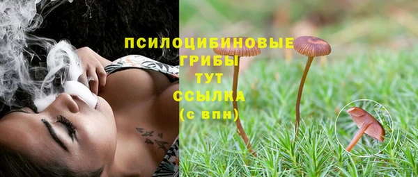a pvp Абинск