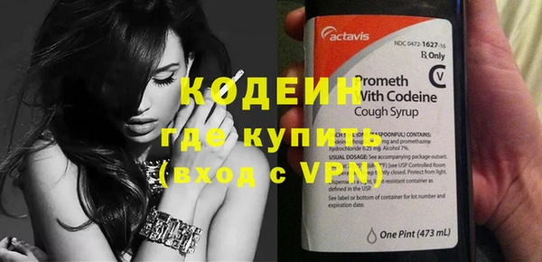 прущие грибы Абаза