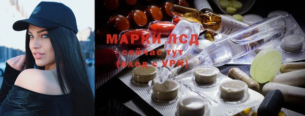 прущие грибы Абаза