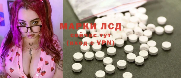 прущие грибы Абаза