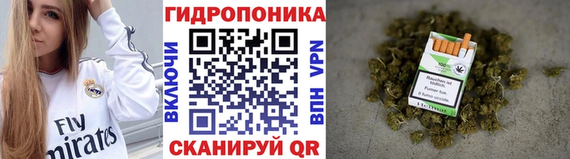 Шишки марихуана конопля Красково